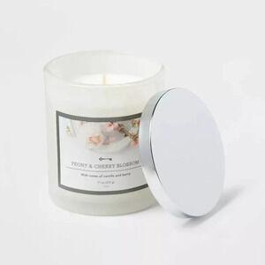 11oz Glass Jar Nordic Holly Frosted  Berry Candle Threshold cinnamon spice &pine